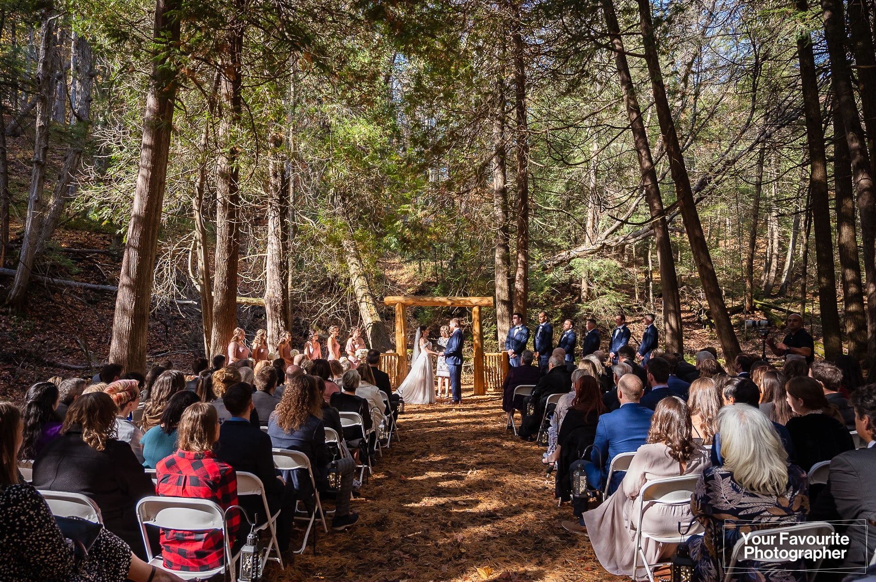 Autumn wedding photos at Ganaraska Forest
