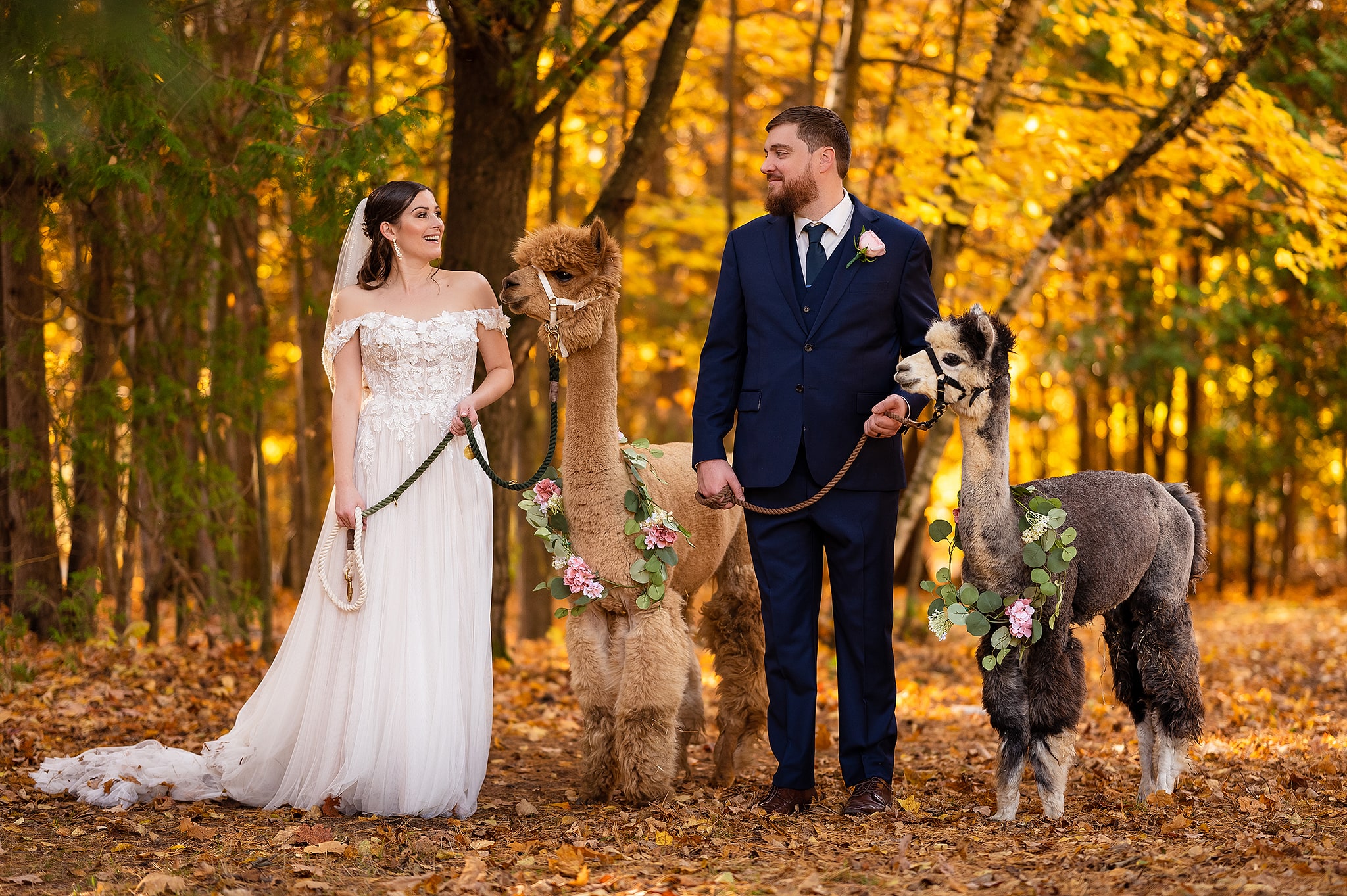Samantha and Coltyn - Autumn wedding photo with alpacas