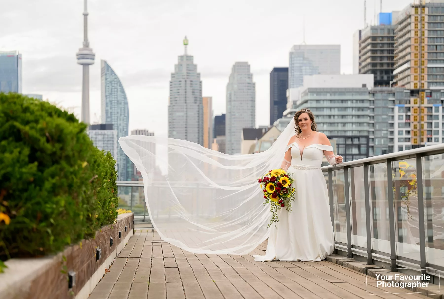 Bride Emily's veil flies in the wind as she poses on a rooftop patio in front of the downtown Toronto skyline