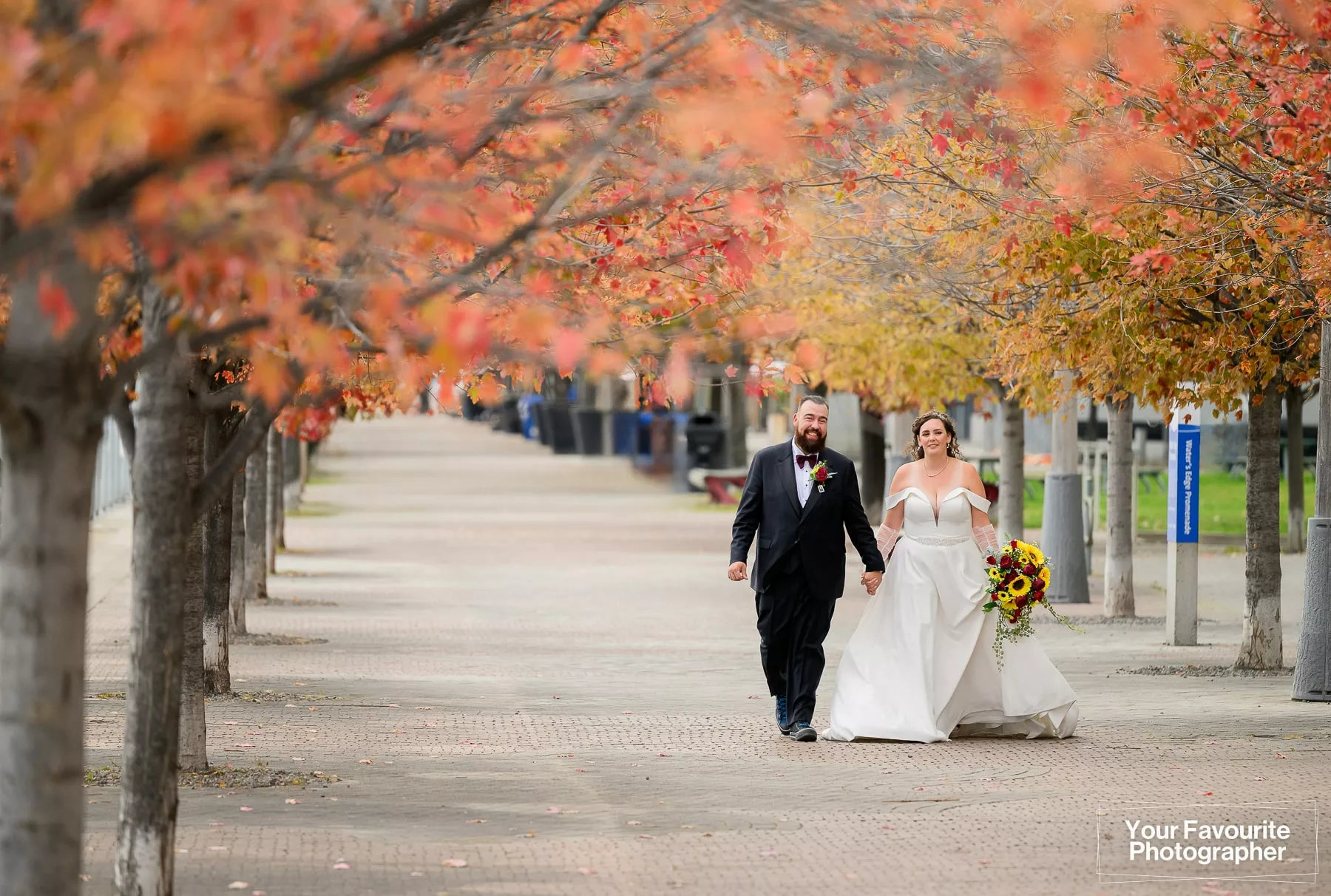 Bride and groom walk down the Water's Edge Promenade East in Downtown Toronto, near Sherbourne Common, surrounded by colourful fall foliage